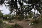 10 Cents Land near Malpe beach