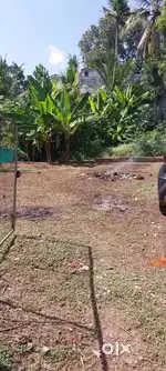 Gandhipuram 5 cent square plot for sale . 10 lakh per cent