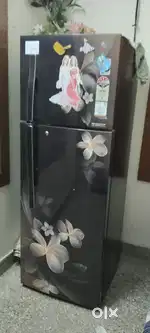 NEW FRIDGE
