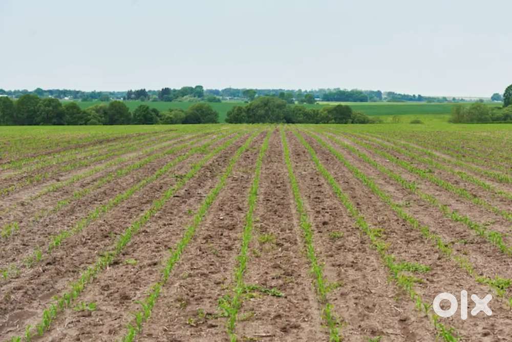 Agreecultural land 4 beegha