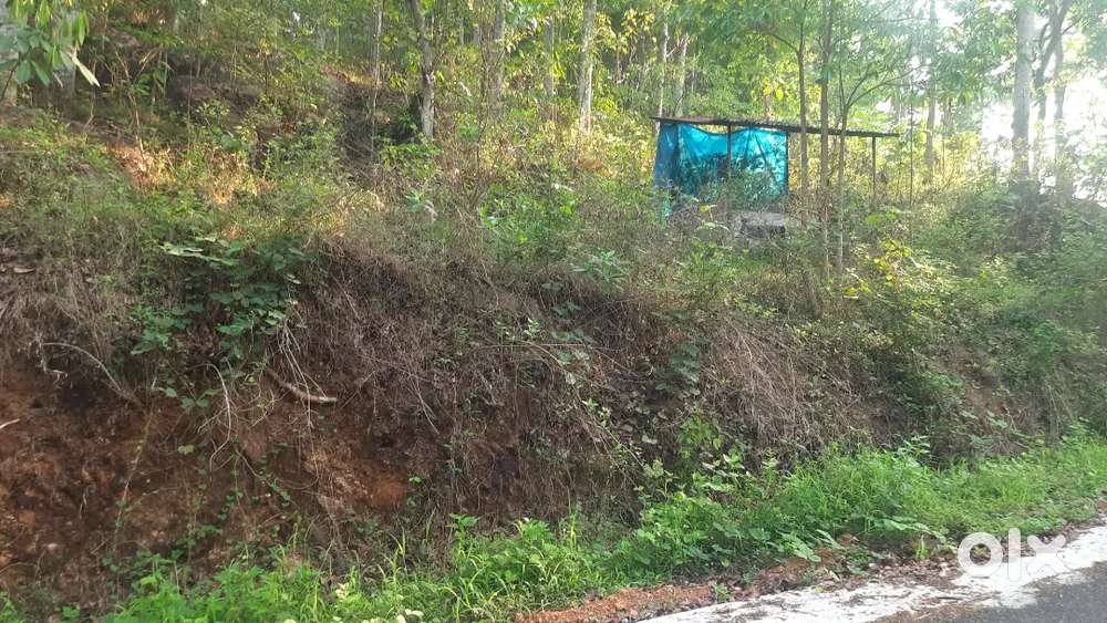 New Plot for sale near Vellanad, Kannampally