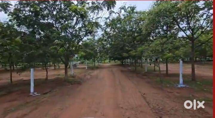 1GUNTA FARM PLOT DEVELOPED 12LAKHS only