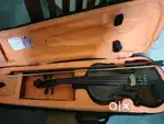 Rarely Used Violin