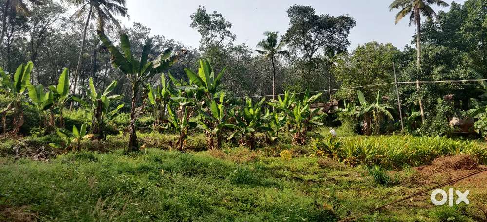 7 Cent Plot for Sale