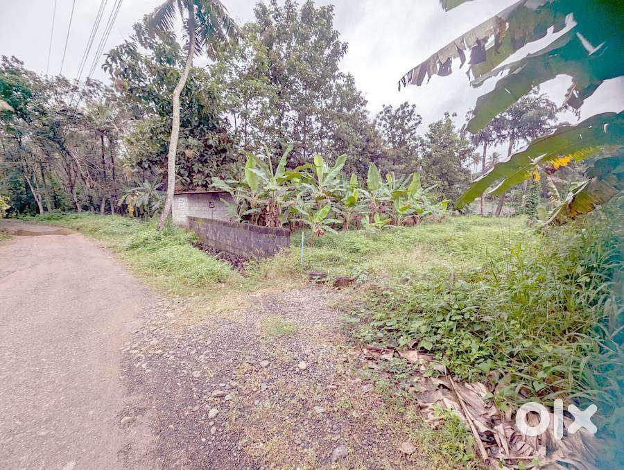 House plot 8.5 cents in Ettumanoor near Old MC road 4.10 lakh/cent