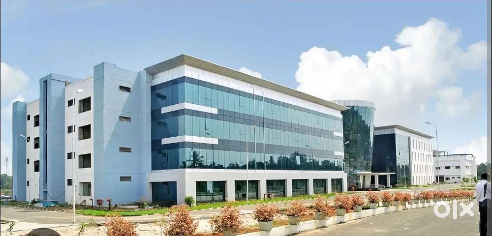 MANAGER VACCANCY URGENT HIRING