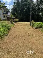 Kumbanad Puramattom road kavumprayar near 10 cent house plot for sale