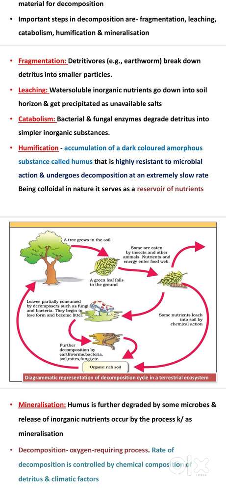 Civil service jkpsc, si qualified,