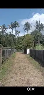 4 cent plots in kolazhi 2.20 lakh