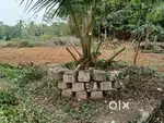 8 cent plot for sale