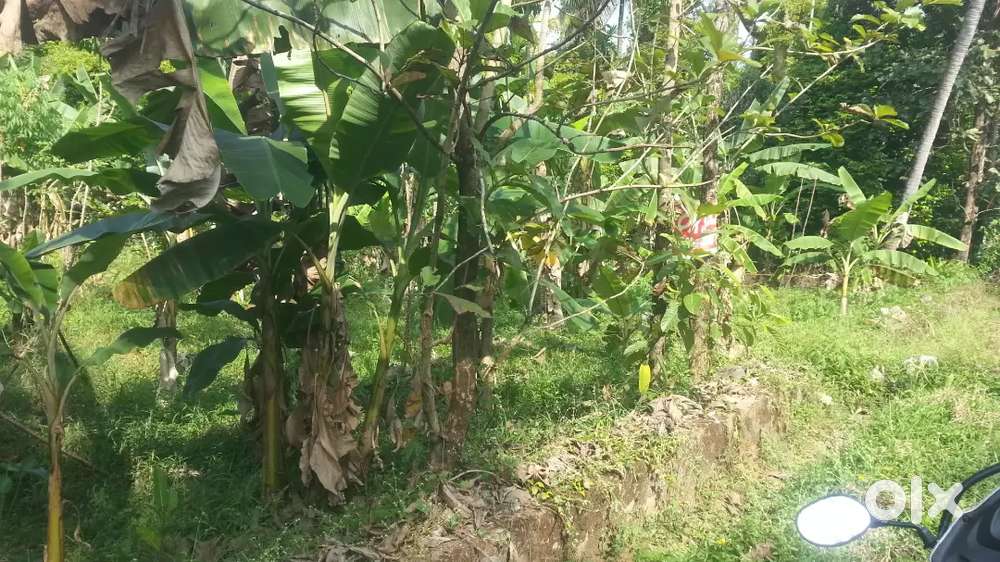 12cent 1.20L KANNIKARA near IRINJALAKUDA. Water, Road facility