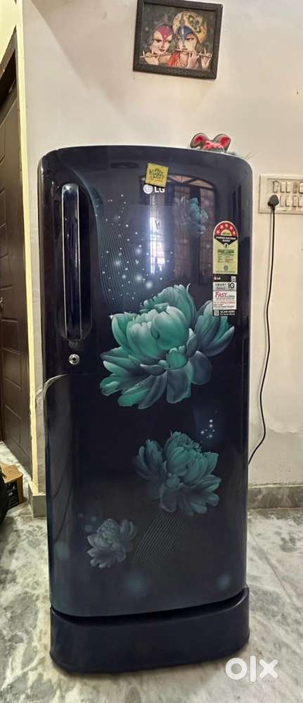 185 L 5star Lg Refrigerator