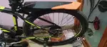Rodeo cycle