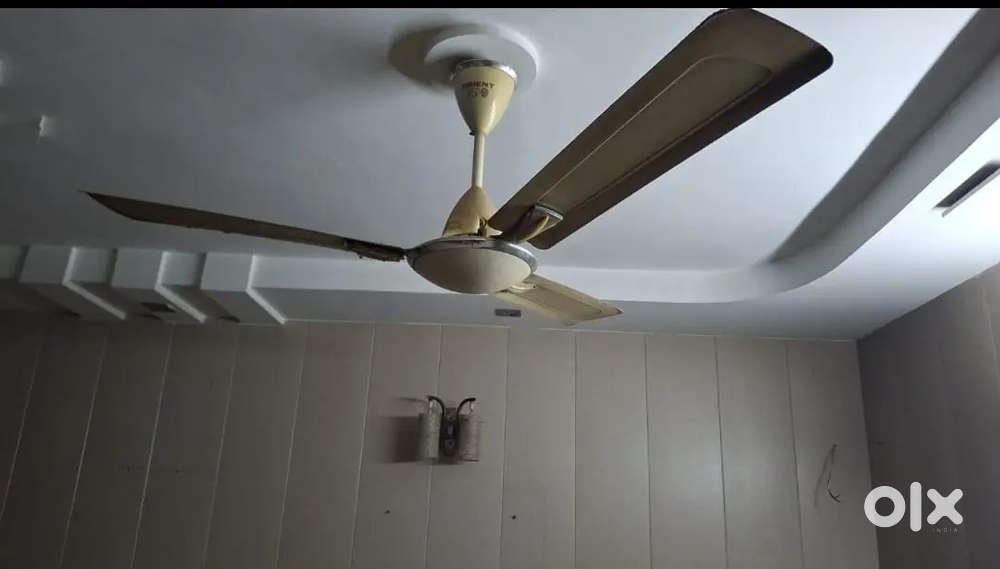 Ceiling fan - Fancy at Negotiable rate