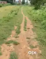 Emi pe plot le bihta patut road m near patut bazar
