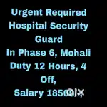 Hospital Security Guard job Phase 6,Mohali
