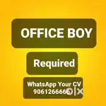 OFFICE BOY CUM PROMOTER