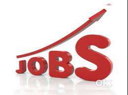 Document Scanning Job in Tirupati - 15k salary