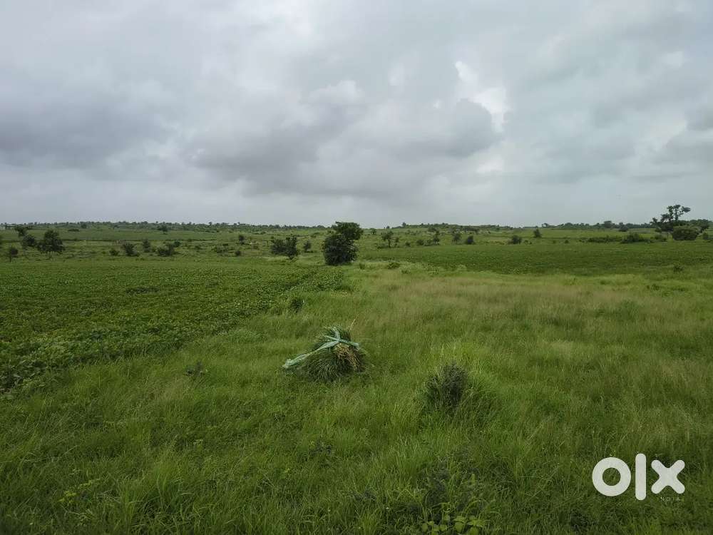 Agriculture land sell in Gairatganja