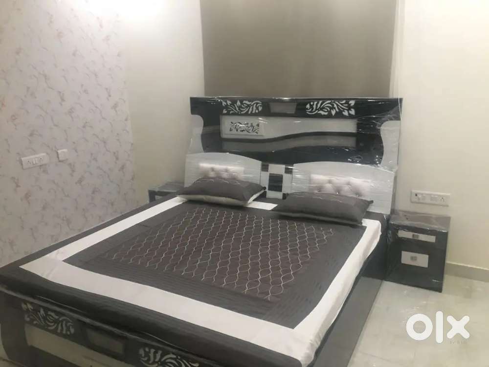 NEAR THEME HOTEL, 2BHK FURNISHED FLAT FOR FAMILY ND WORKING BACHELOR