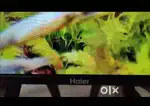 Haier 109 cm (43 inch) Full HD LED Smart Android TV