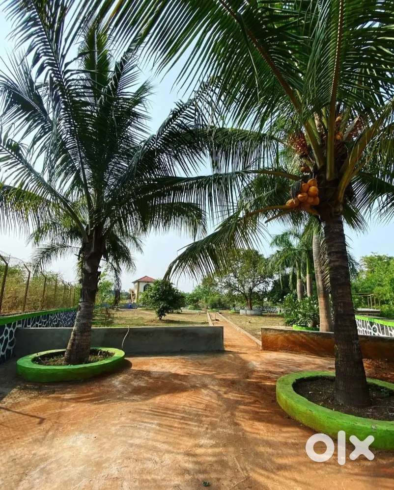 PREMIUM COMMUNITY FARMHOUSE LAND,, नदी से लगा फॉर्महाउस रायपुर शहर में