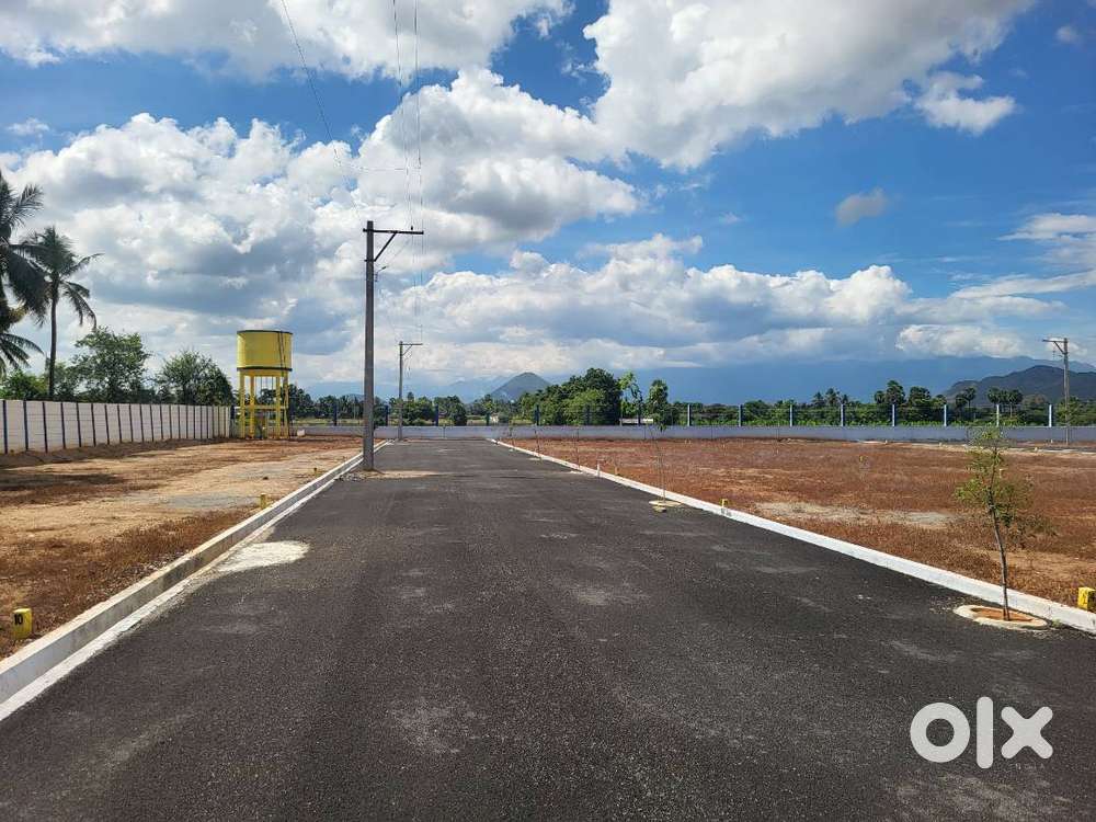 Premium  Plots for sale near Puliyampatti (Only 5 mins from Busstand)