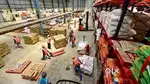 WE ARE HIRING LOGISTICS FRESHERS AND EXPERIENCED CANDIDATES