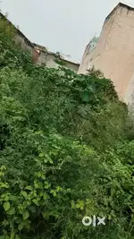 75gaj near sarkari twel near Balaji chakki dayanand nagar