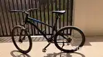 Rockrider ST120