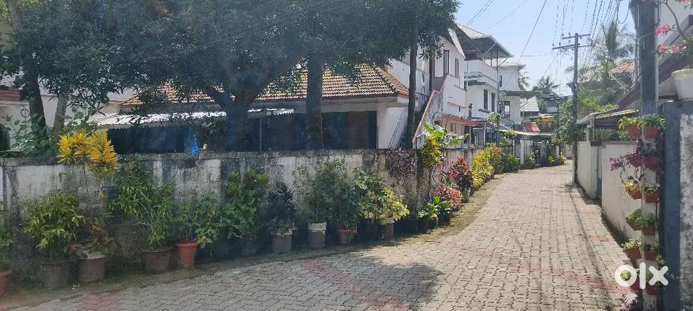 8 cent 5bhk