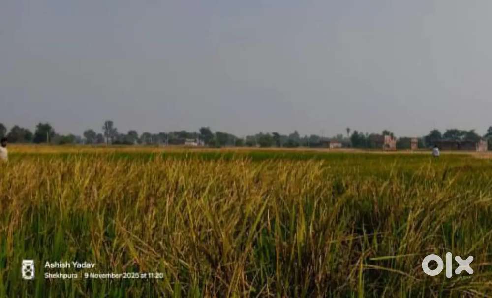 1 katha ka band plot hai kheti ye sab karne wala jamin hai