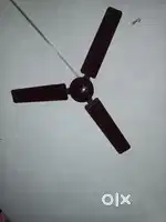 celling Fan