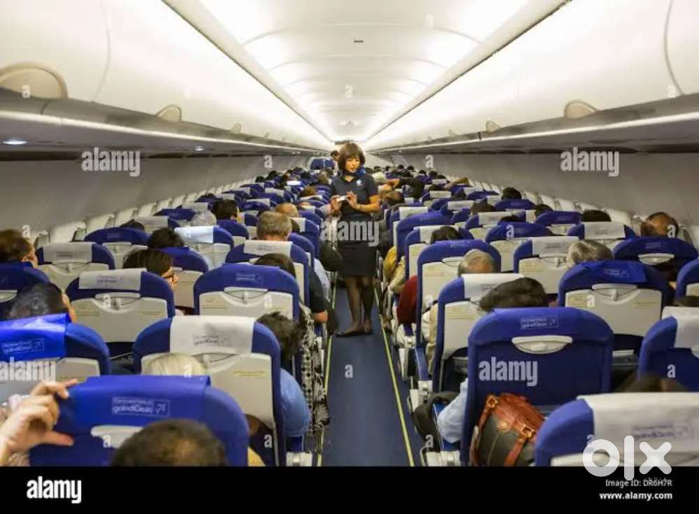 Indigo Airlines jobs /Vacancy for Airport Ground staf / Driver / Crew