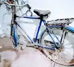 Five years old.good condition