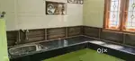 Newly built house for rent