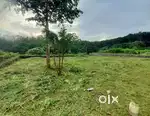 10 Cent Residential Plot for Sale - venganellur , chelakkara