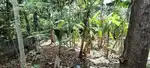 Mannathala 6.6 cent plot for sale