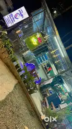 Restaurant ദിവസ വാടകക്ക്