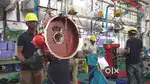 FRESHERS CAN APPLY FOR MANUFACTURING JOBS