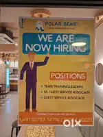 Polar bear The ice cream shop