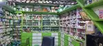 APOLLO PHARMACY BOYS AND GIRLS FRESHER AND EXPERIENCE  APPLY NOW.