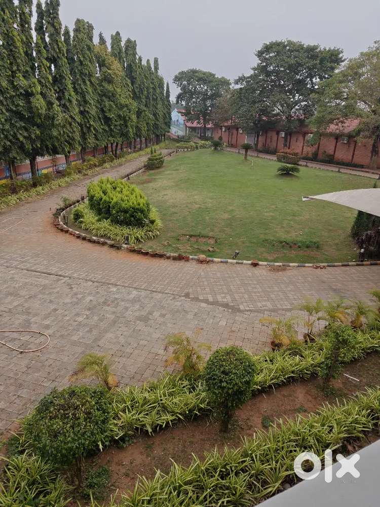 Cook Indian Chinese tandoor