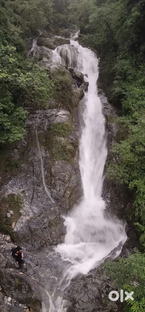 Best plot for Pg or second house