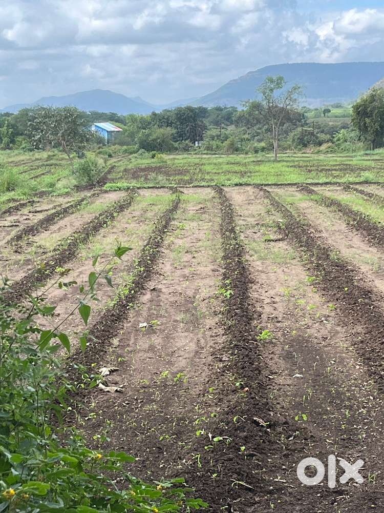 Plot 4 rent hinjawadi near