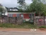 4 cent with small house