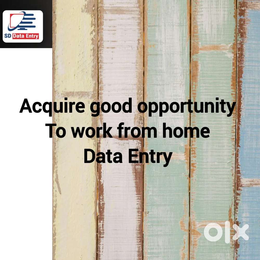 Excellent Data Entry Opportunity Grab now