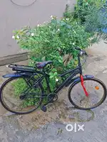Cycle low price