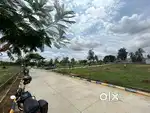 Plots And Lands For Sale
