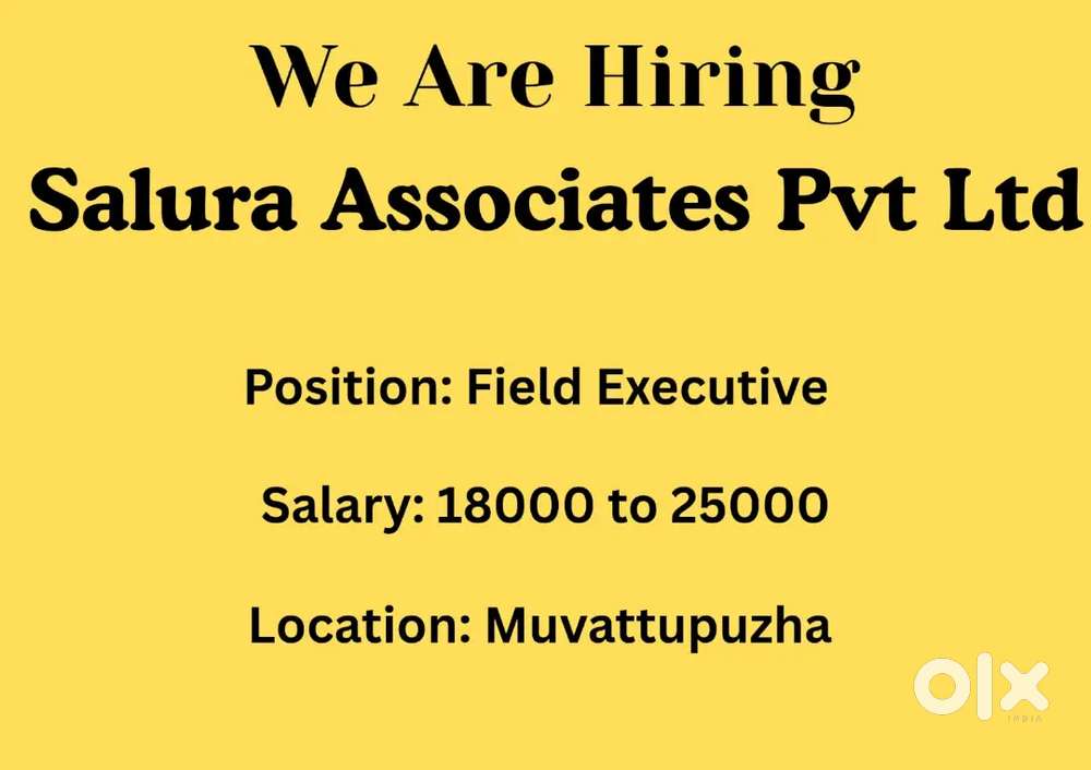 Collection Executive